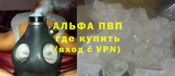 сатива Корсаков