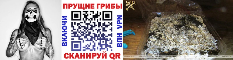 Псилоцибиновые грибы GOLDEN TEACHER  Миньяр 